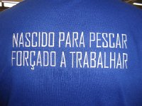 SDC10010