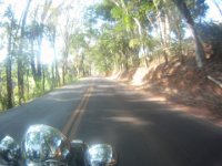 GOPR1176