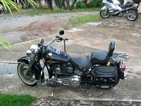 IMG 0051